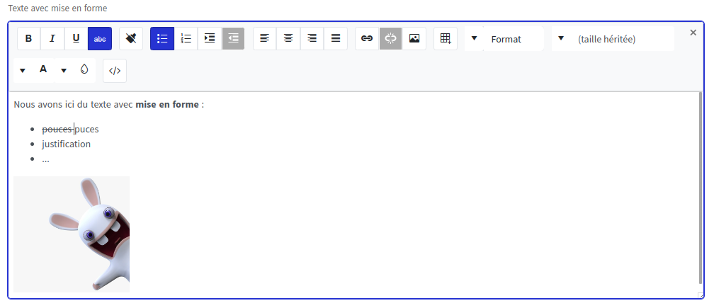 Champ texte riche en lecture